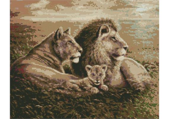 ideyka AMO7334 Diamond Painting - Löwenfamilie 40 x 50 mit Rahmen