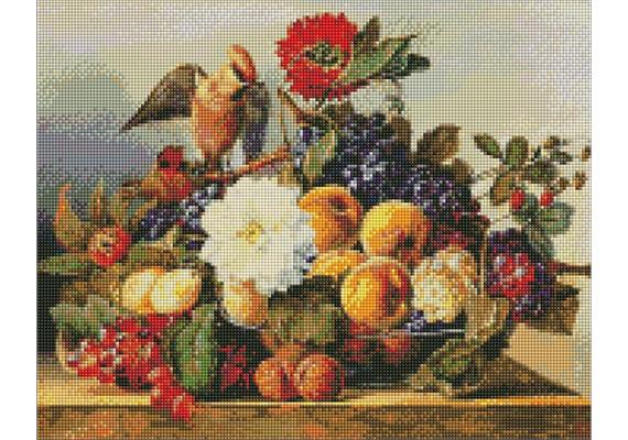 ideyka AMO7393 Diamond Painting - Seidenschwanz mit Rahmen 40 x 50 cm