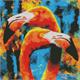 ideyka AMO7417 Diamond Painting - Orange Flamingos mit Rahmen 40 x 40 cm