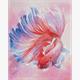 ideyka AMO7456 Diamond Painting - Hahnenfisch mit Rahmen 40 x 50 cm