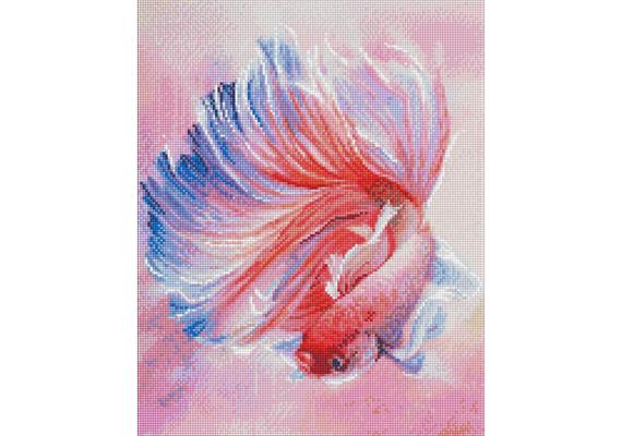 ideyka AMO7456 Diamond Painting - Hahnenfisch mit Rahmen 40 x 50 cm