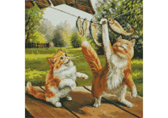 ideyka AMO7653 Diamond Painting - Guter Fang mit Rahmen 40 x 40 cm