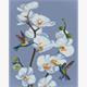 ideyka AMO7713 Diamond Painting - Blühende Orchideen mit Rahmen 40 x 50 cm