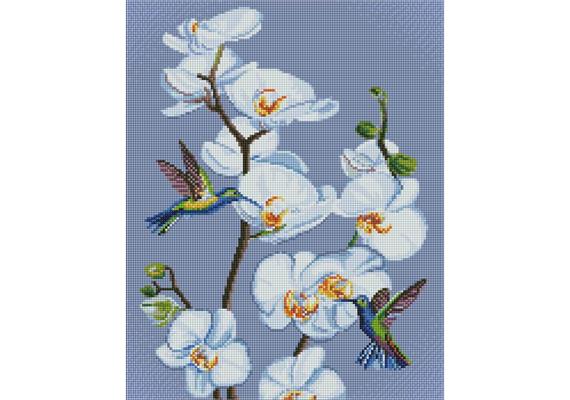 ideyka AMO7713 Diamond Painting - Blühende Orchideen mit Rahmen 40 x 50 cm