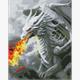 ideyka AMO7833 Diamond Painting - Feuer speiender Drache mit Rahmen 40 x 50 cm