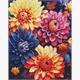 ideyka AMO7842 Diamond Painting - Bunte Dahlien mit Rahmen 40 x 50 cm