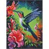 ideyka AMO7846 Diamond Painting - Kolibri mit Rahmen 30 x 40 cm