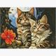 ideyka AMO7853 Diamond Painting - Katzen mit Rahmen 30 x 40 cm