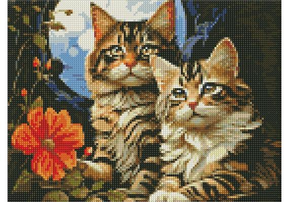 ideyka AMO7853 Diamond Painting - Katzen mit Rahmen 30 x 40 cm