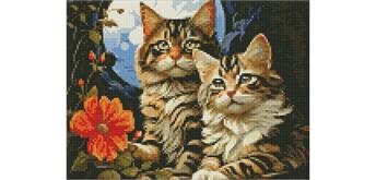 ideyka AMO7853 Diamond Painting - Katzen mit Rahmen 30 x 40 cm