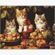 ideyka AMO7940 Diamond Painting - Katzen und Früchte mit Rahmen 40 x 50 cm