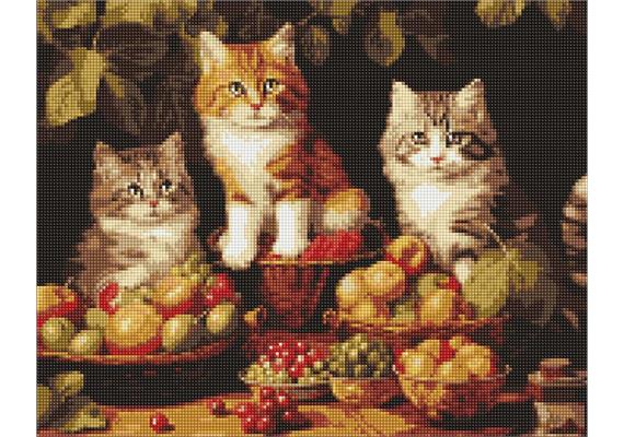 ideyka AMO7940 Diamond Painting - Katzen und Früchte mit Rahmen 40 x 50 cm