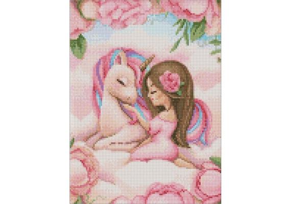 ideyka AMO7954 Diamond Painting - Märchenfreundschaft mit Rahmen 30 x 40 cm