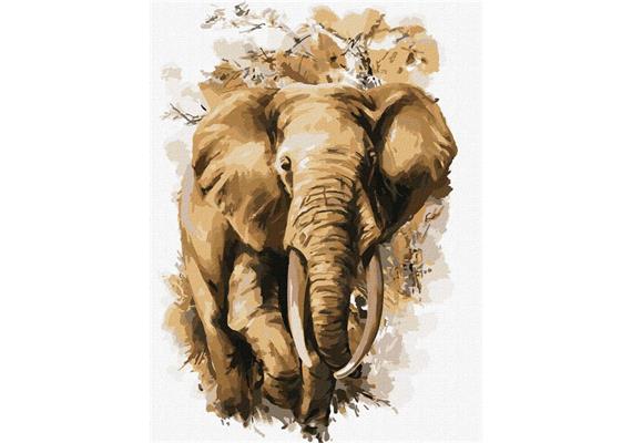 ideyka KHO4304 Malen nach Zahlen - Elefant 30 x 40 cm