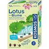 Kosmos 63727 Lotus-Blume