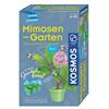 Kosmos 65780 Mimosen-Garten