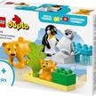 LEGO® DUPLO 10442 Wildtier-Familien: Pinguine und Löwen | Bild 6