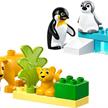 LEGO® DUPLO 10442 Wildtier-Familien: Pinguine und Löwen | Bild 3