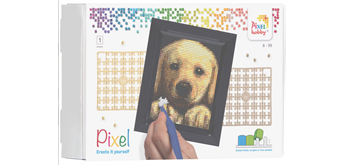 Pixel Geschenkbox mit 24 Pixel Vierecke - Golden Retriever