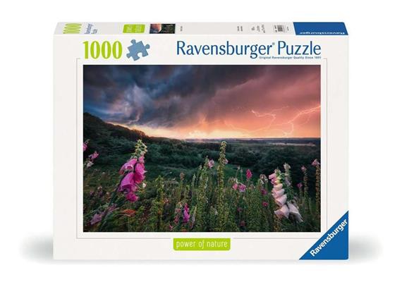 Ravensburger Puzzle 00793 Ein Sturm zieht auf