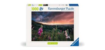 Ravensburger Puzzle 00793 Ein Sturm zieht auf