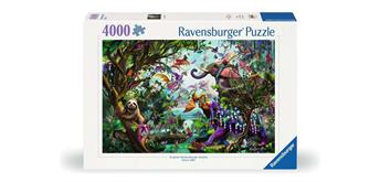 Ravensburger Puzzle 00812 Die Drachen der Tropen