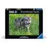 Ravensburger Puzzle 01606 Wolf im Natur- und Tierpark Goldau