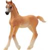 Schleich® Horse Club 13984 Araber Fohlen