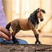 schleich® Horse Club 14894 Andalusier Stute | Bild 2