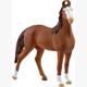 schleich® Horse Club 14897 Marwari Stute