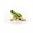 schleich® Wild Life 14882 Europäischer Laubfrosch | Bild 5