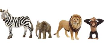 schleich® Wild Life 42721 Afrika Starter-Set