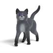 Schleich Schule mag. Tiere 14912 Kater | Bild 2