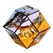 Shashibo Cube Savanna | Bild 3