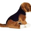 Teddy Hermann - Jagdhund 29 cm | Bild 3